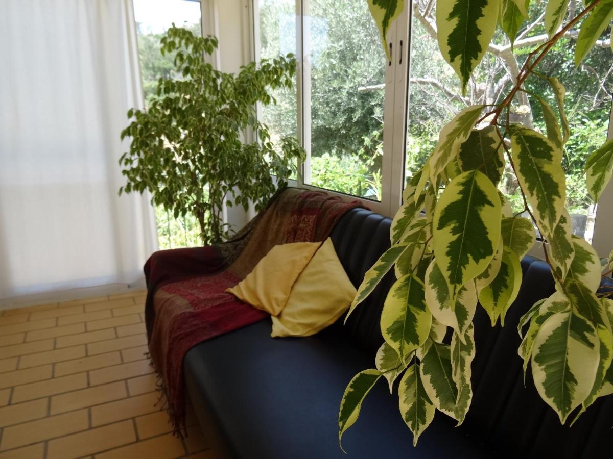 My Room - Villa Vina - Ter Monchique Εξωτερικό φωτογραφία