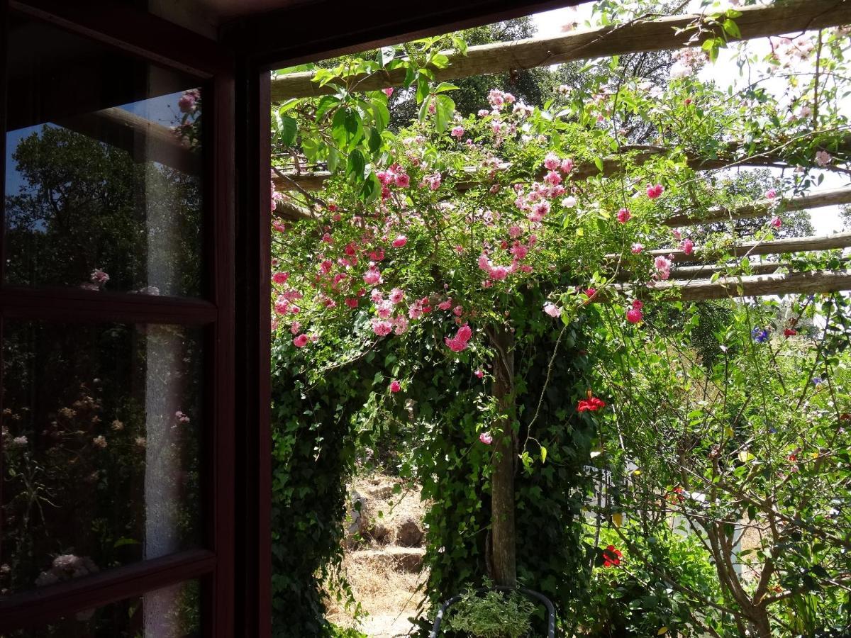 My Room - Villa Vina - Ter Monchique Εξωτερικό φωτογραφία