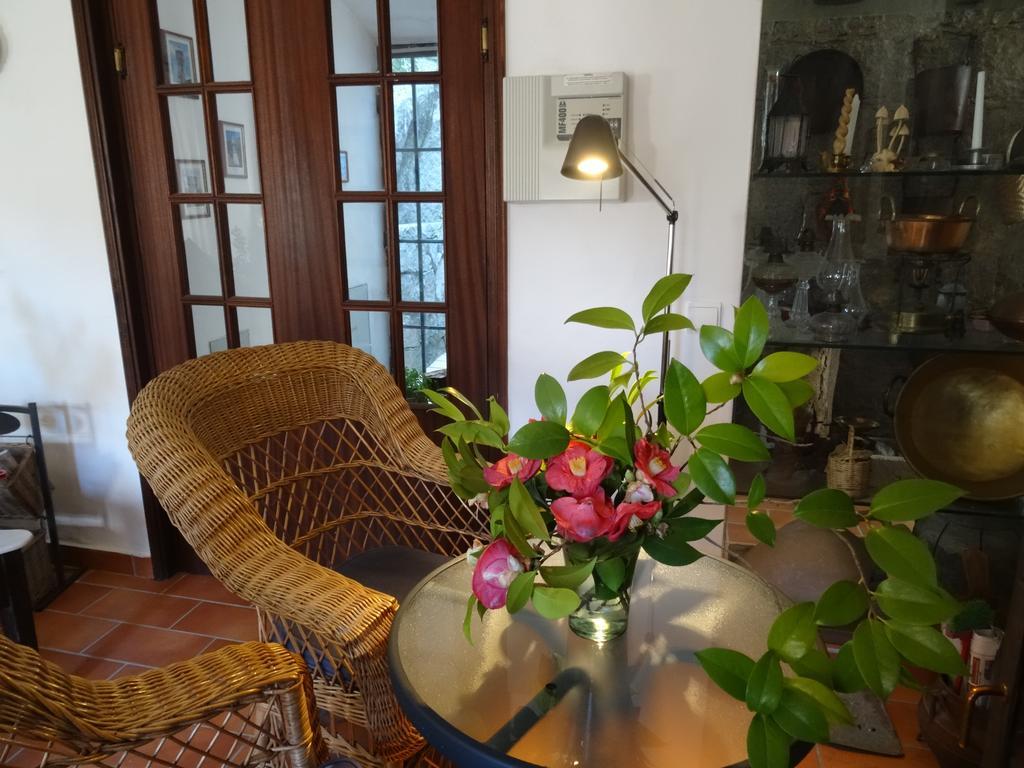 My Room - Villa Vina - Ter Monchique Εξωτερικό φωτογραφία