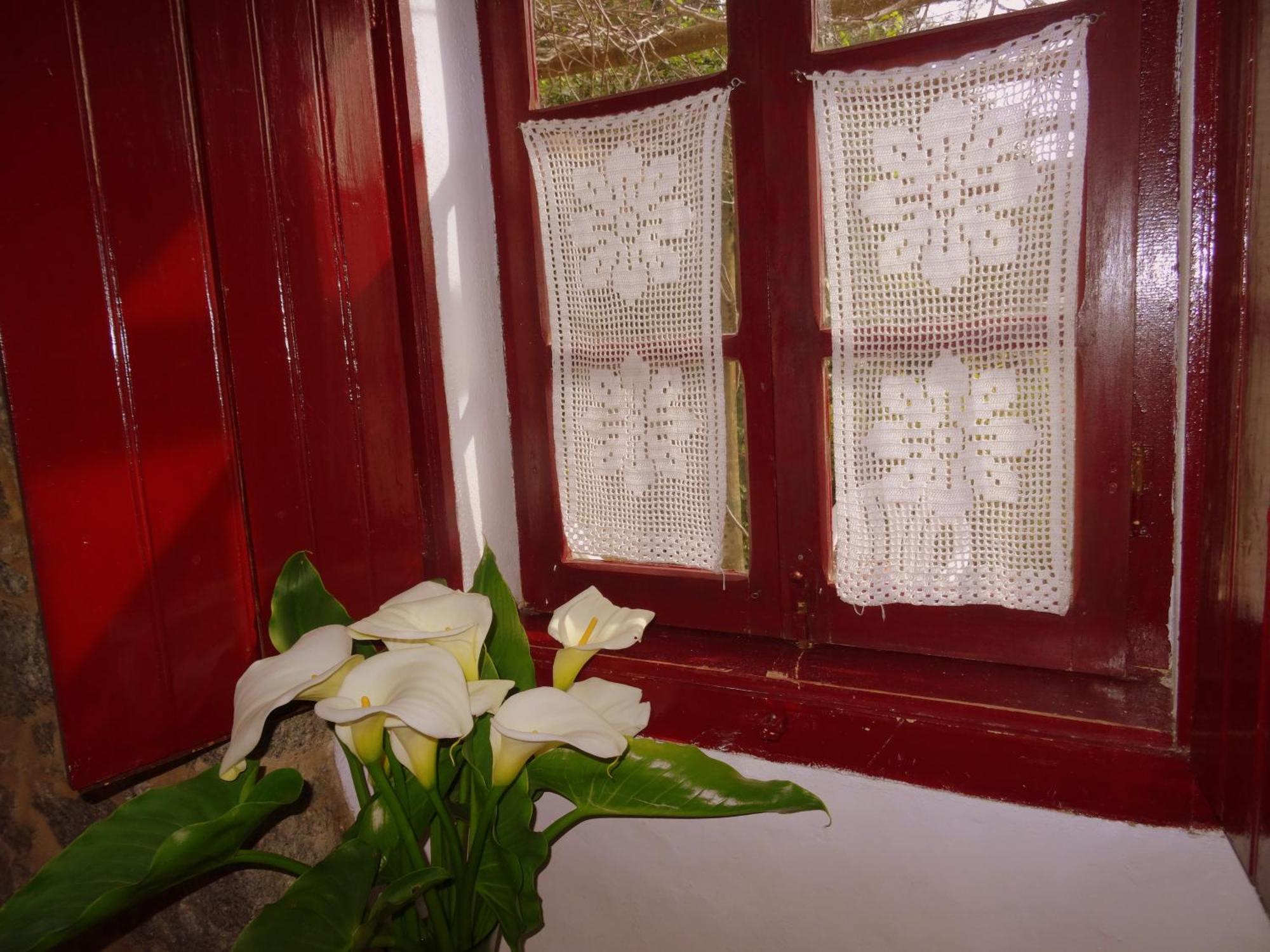 My Room - Villa Vina - Ter Monchique Δωμάτιο φωτογραφία
