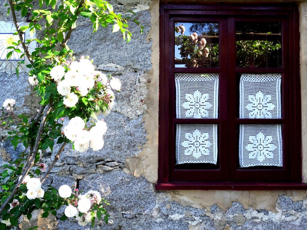 My Room - Villa Vina - Ter Monchique Εξωτερικό φωτογραφία