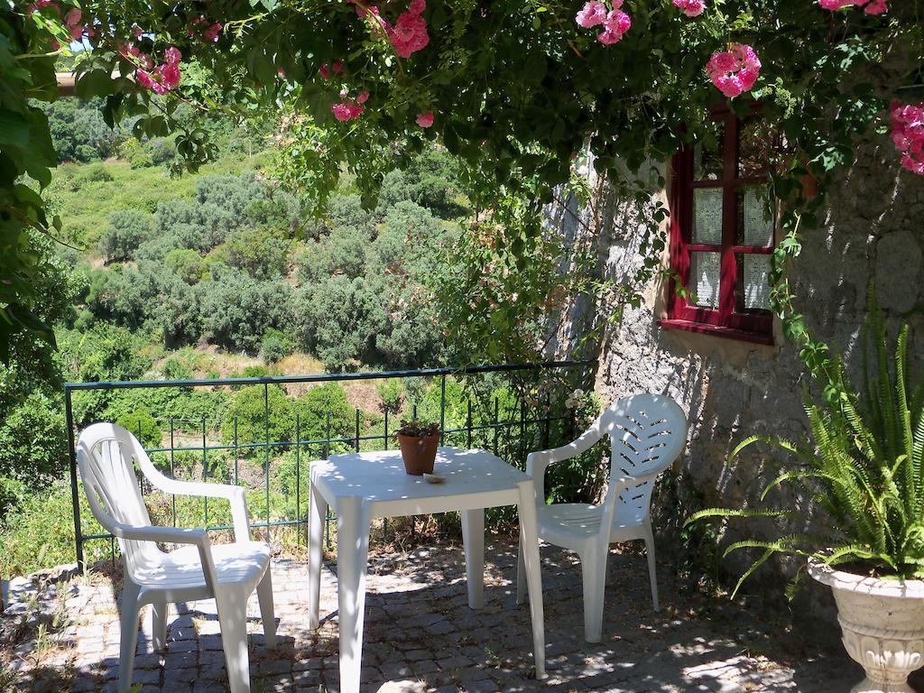 My Room - Villa Vina - Ter Monchique Δωμάτιο φωτογραφία