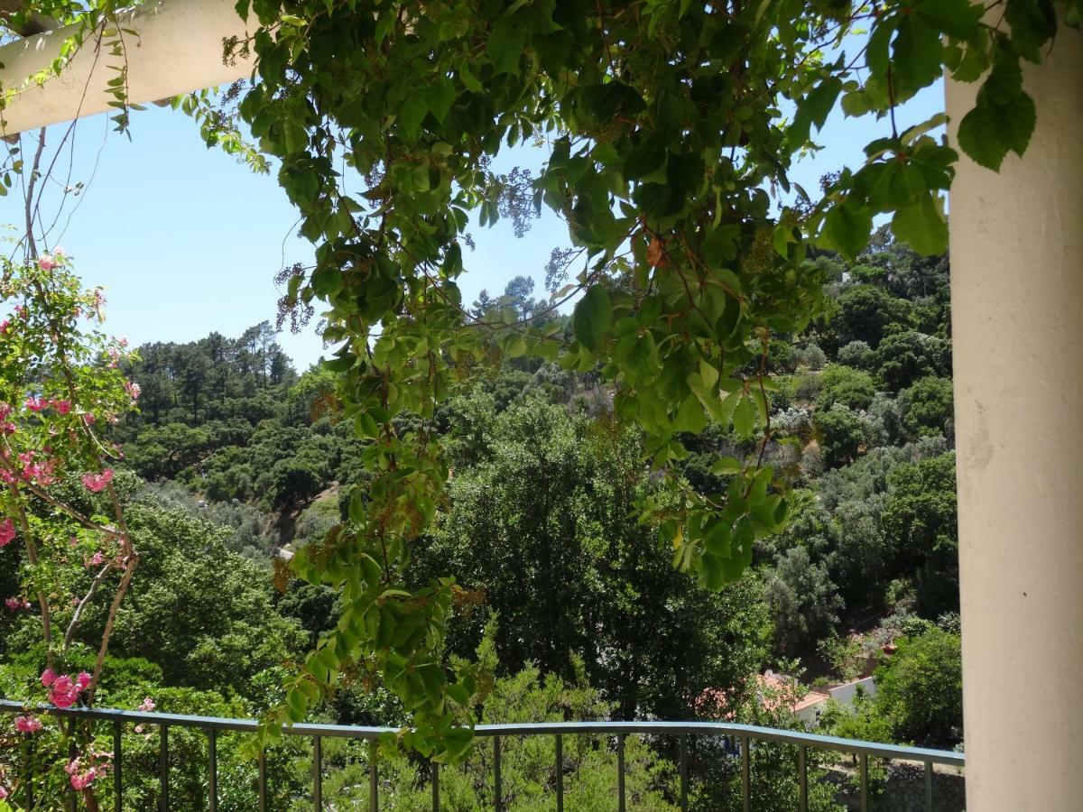 My Room - Villa Vina - Ter Monchique Εξωτερικό φωτογραφία